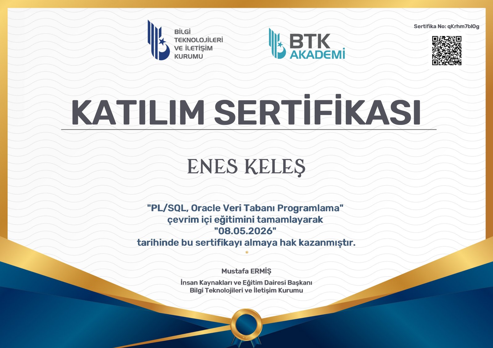PL SQL  Oracle Veri Tabanı Programlama Sertifika